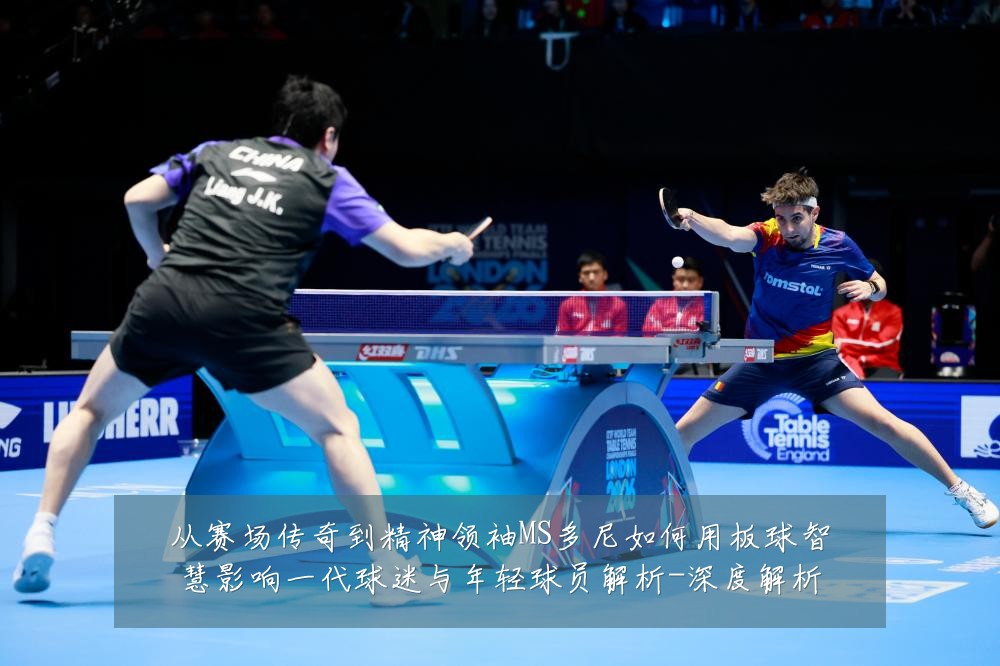 从赛场传奇到精神领袖MS多尼如何用板球智慧影响一代球迷与年轻球员解析-深度解析